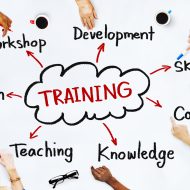Diverse People and Training Concepts